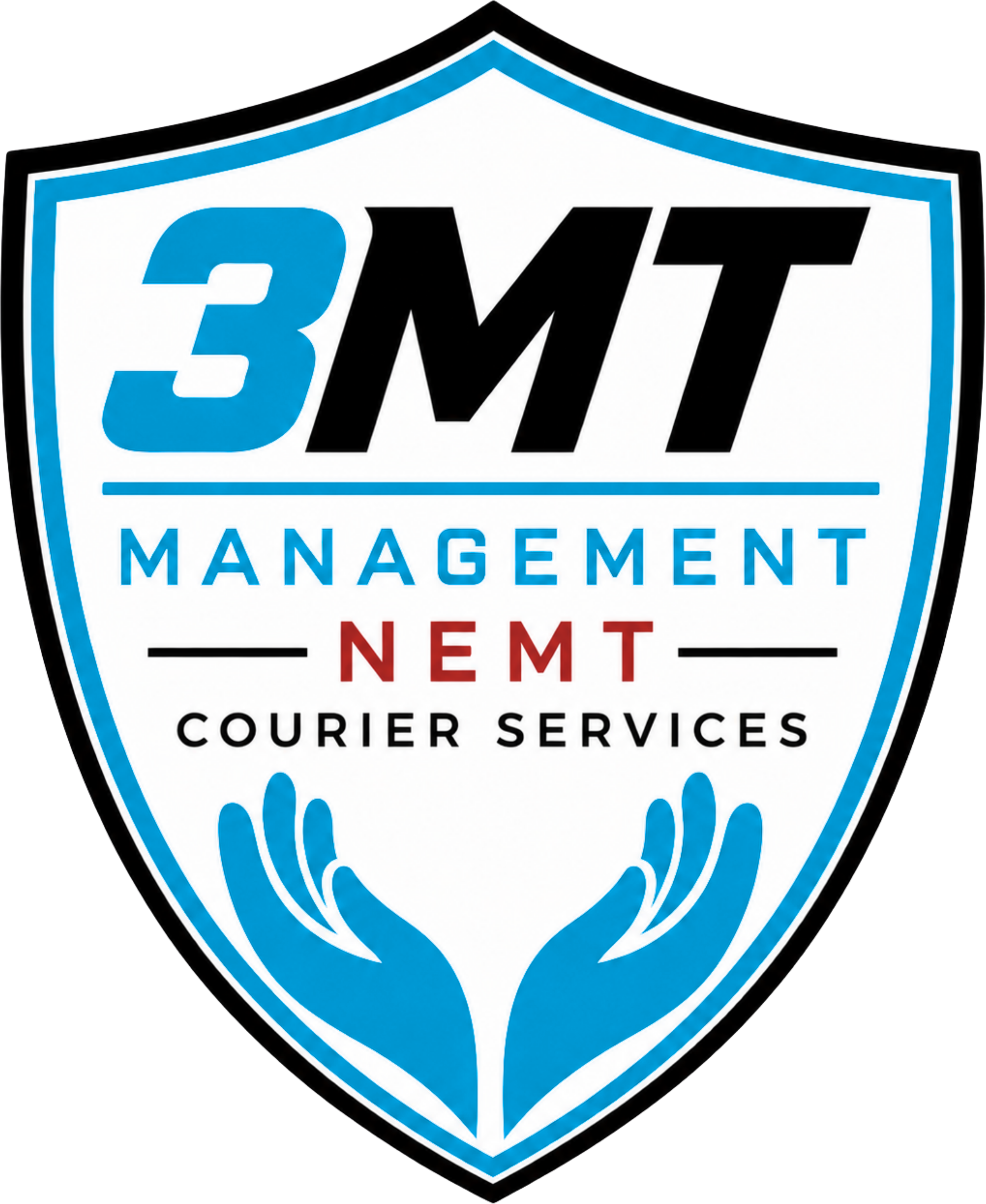 3MT Logo